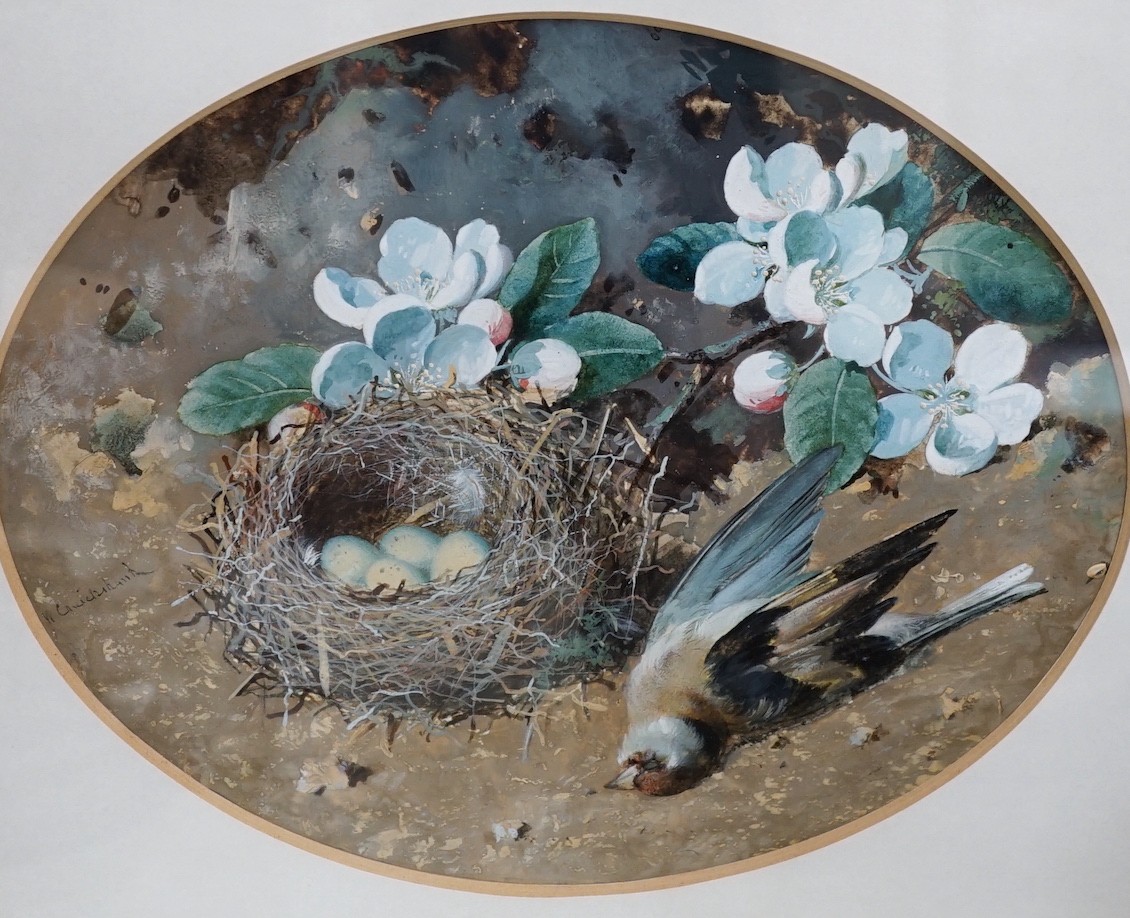 William Cruikshank (1849-1922), watercolour and gouache, Still life of blossom, a birds nest and dead goldfinch, signed, oval, 19 x 23cm